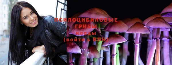 mdpv Богданович