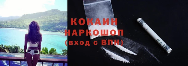 прущие грибы Бугульма