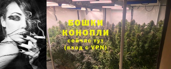 дмт Бронницы