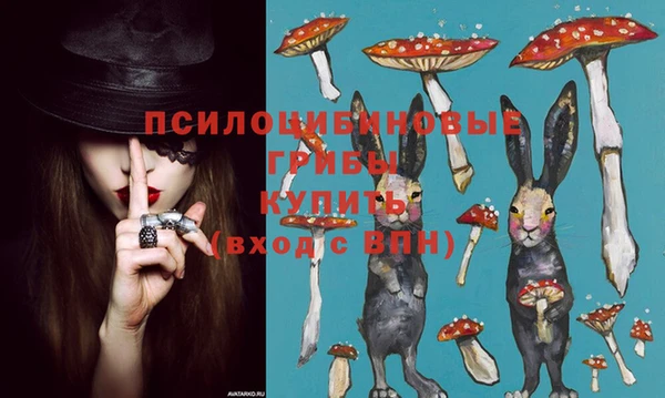 прущие грибы Бугульма