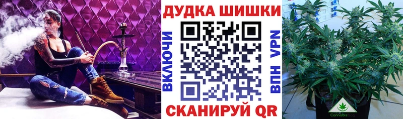 Канабис White Widow  Лодейное Поле 